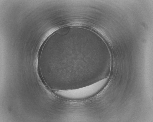 X0000116431418200912221456