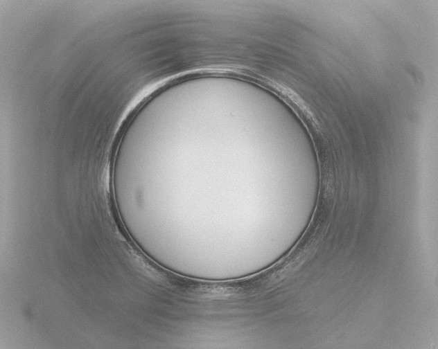 X0000116431420200912221456