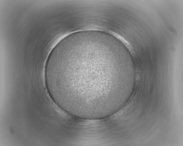 X0000116431423200912221456