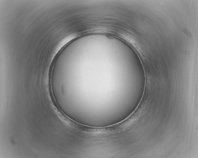 X0000116431426200912221456