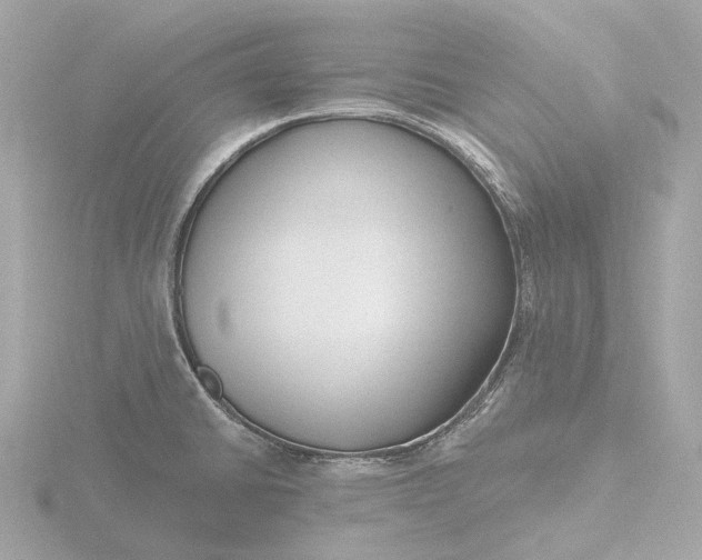 X0000116431430200912221456
