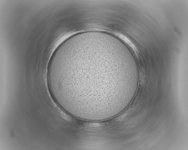 X0000116431431200912221456