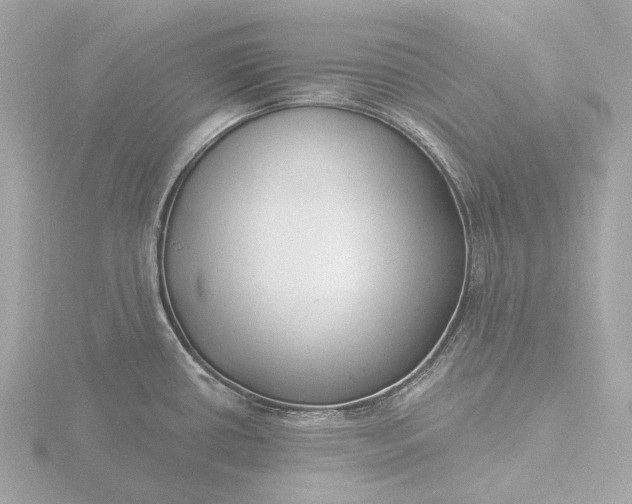 X0000116431434200912221456