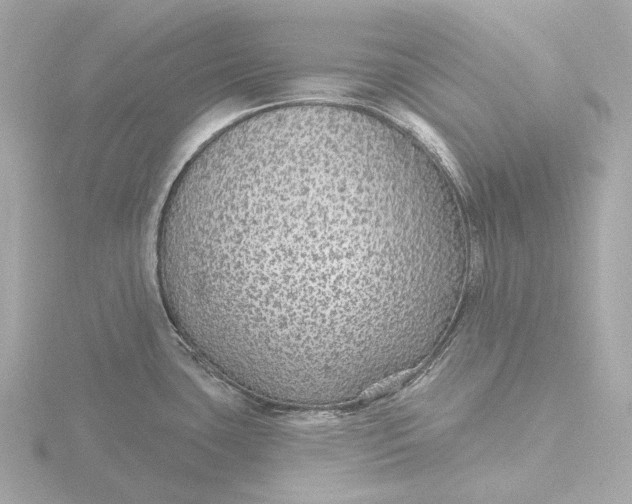 X0000116431435200912221456