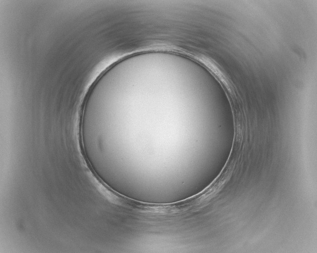 X0000116431438200912221456