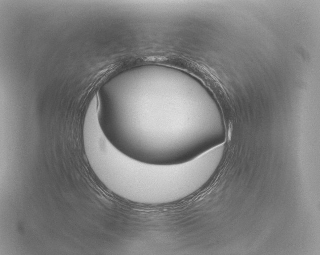 X0000116431444200912221456