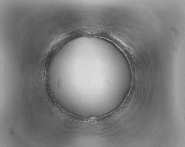 X0000116431447200912221456