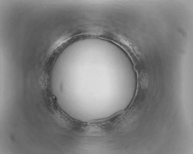 X0000116431448200912221456