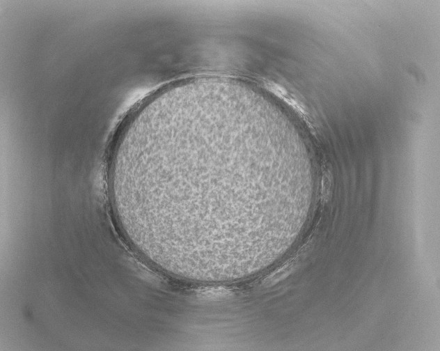 X0000116431454200912221455