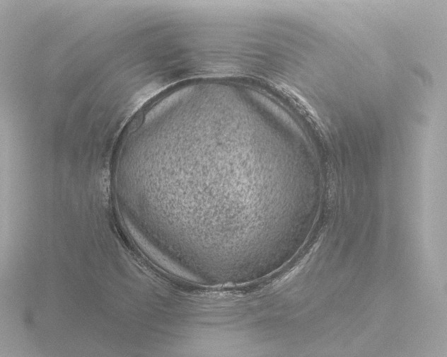 X0000116431457200912221455