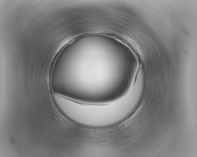 X0000116431465200912221455