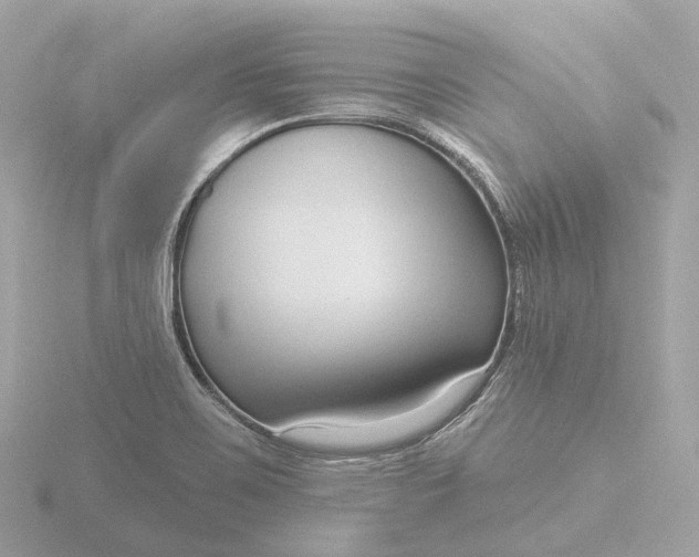 X0000116431467200912221455