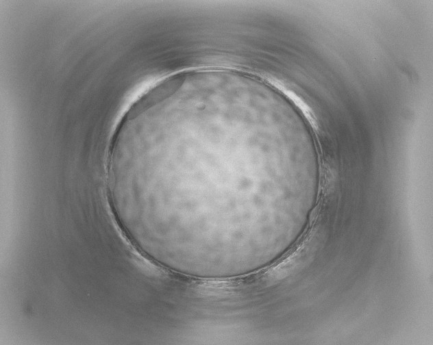 X0000116431477200912221455