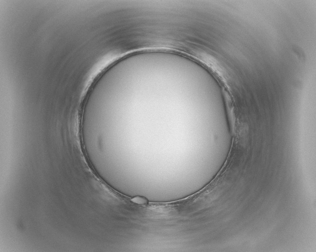 X0000116431480200912221455