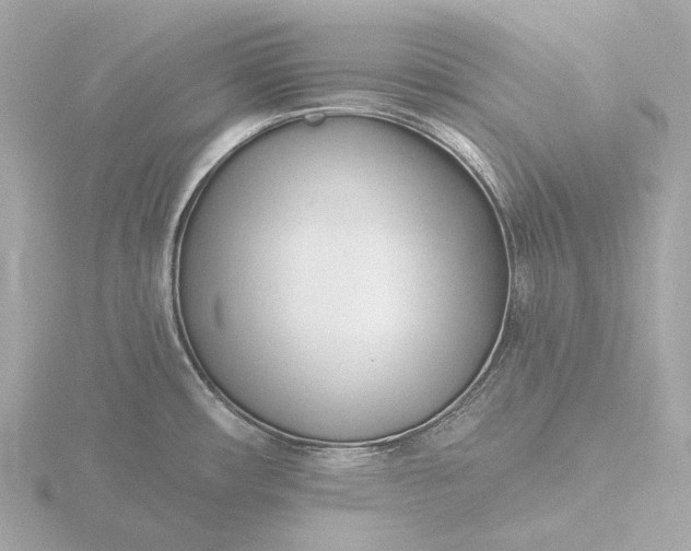 X0000116431482200912221455