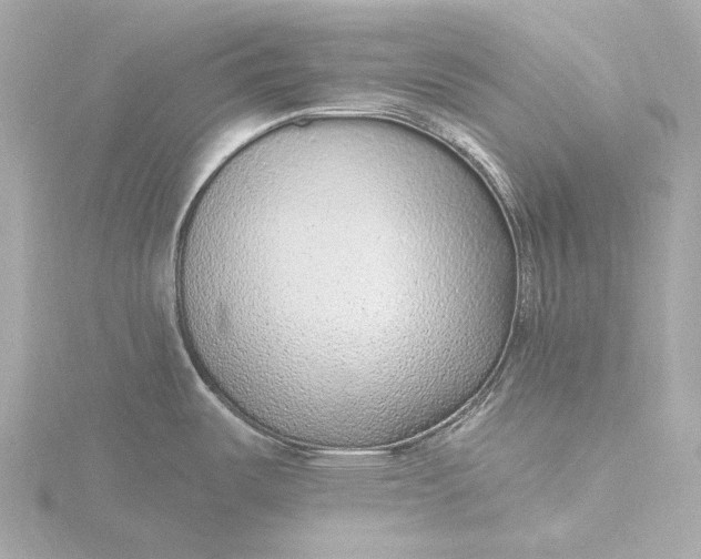 X0000116431487200912221455