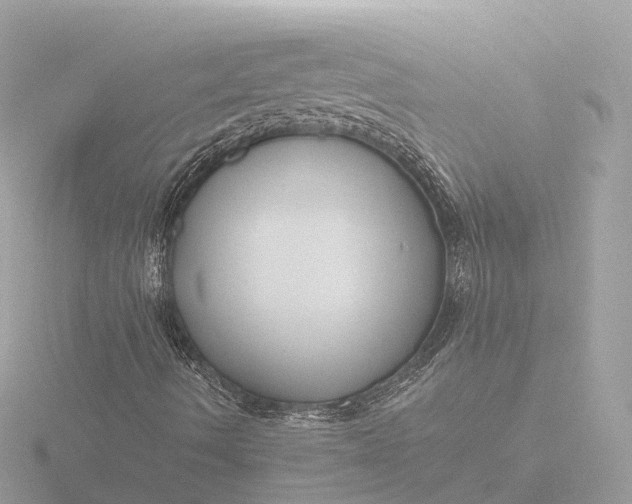 X0000116431490200912221454