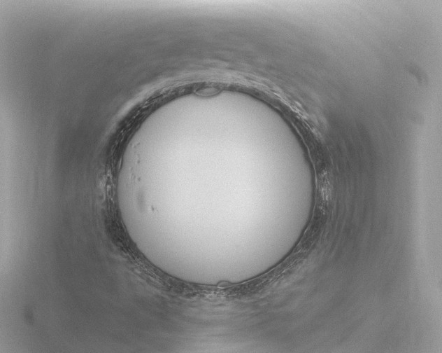 X0000116431495200912221455