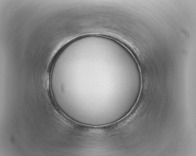 X0000116431509200912221455