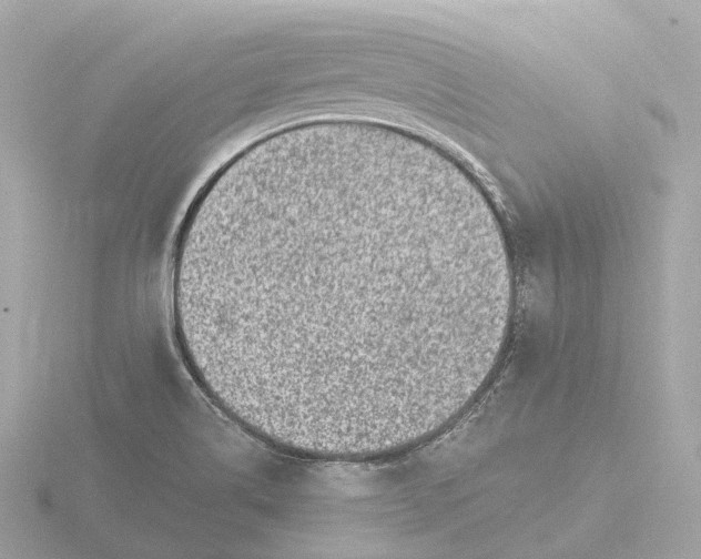 X0000116431514200912221455