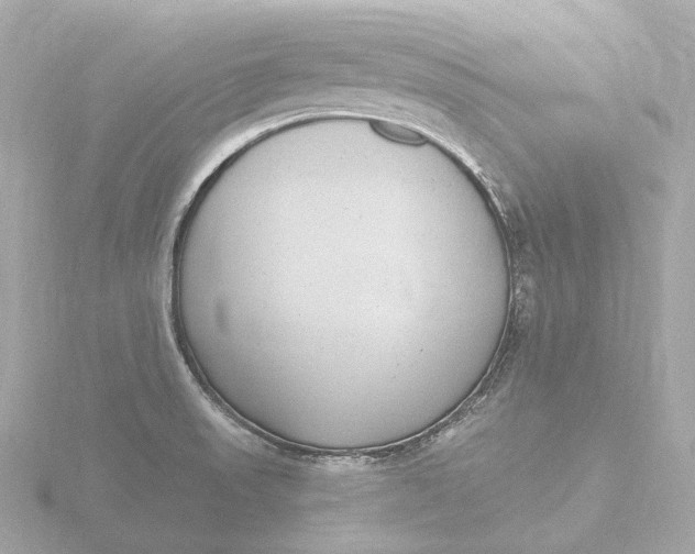 X0000116431523200912221455