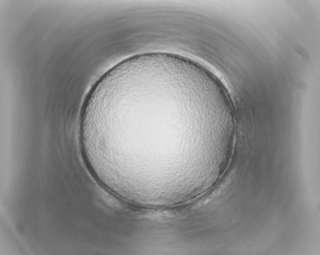 X0000116431525200912221455