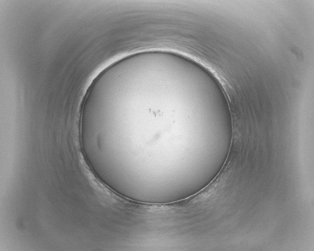 X0000116431534200912221455