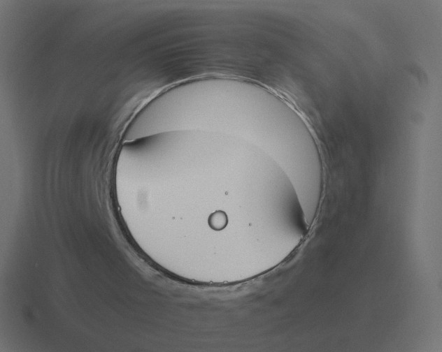 X0000116430001200912291917