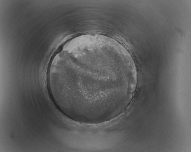 X0000116430002200912291917