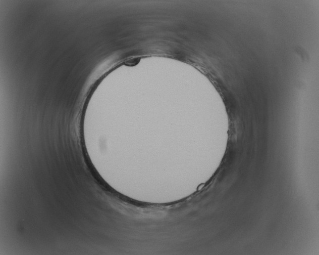 X0000116430004200912291917