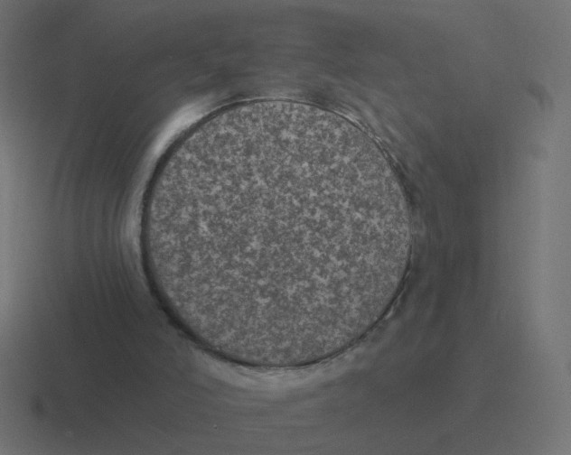 X0000116430006200912291917