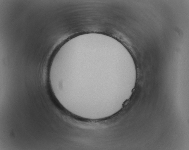 X0000116430012200912291917