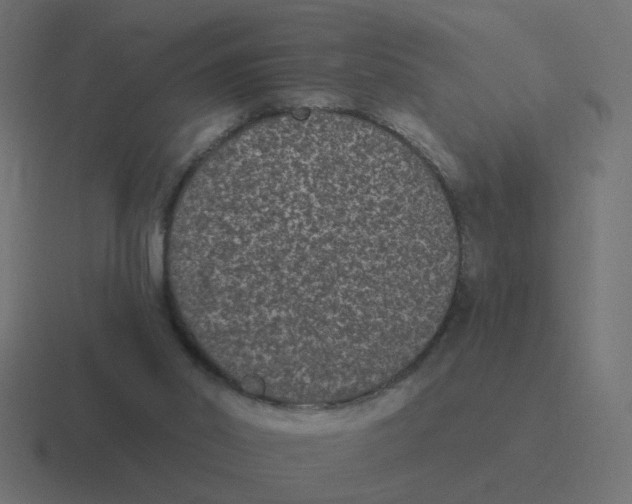 X0000116430014200912291917