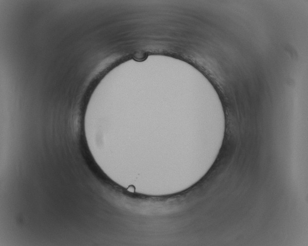 X0000116430016200912291917