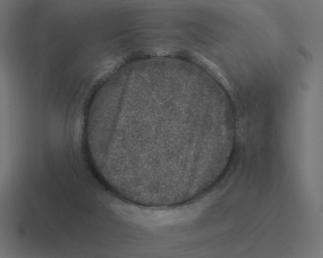 X0000116430018200912291917