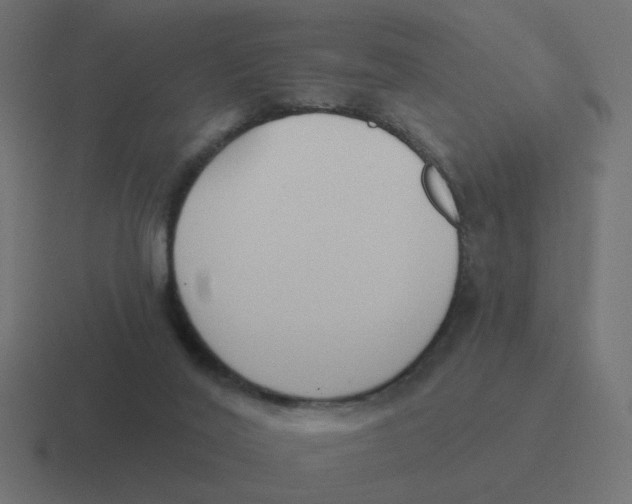 X0000116430020200912291917