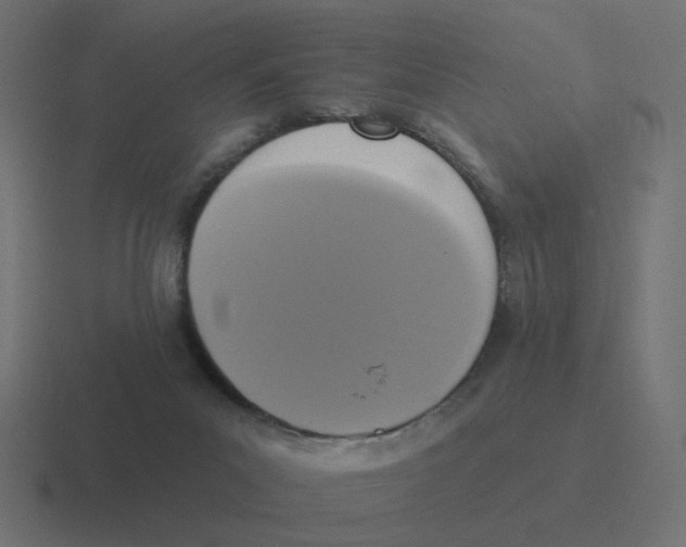 X0000116430023200912291917