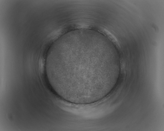 X0000116430026200912291917