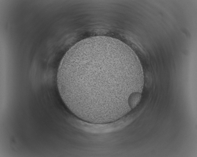 X0000116430034200912291917