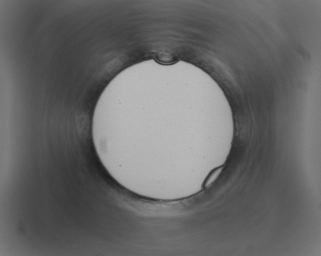 X0000116430036200912291917