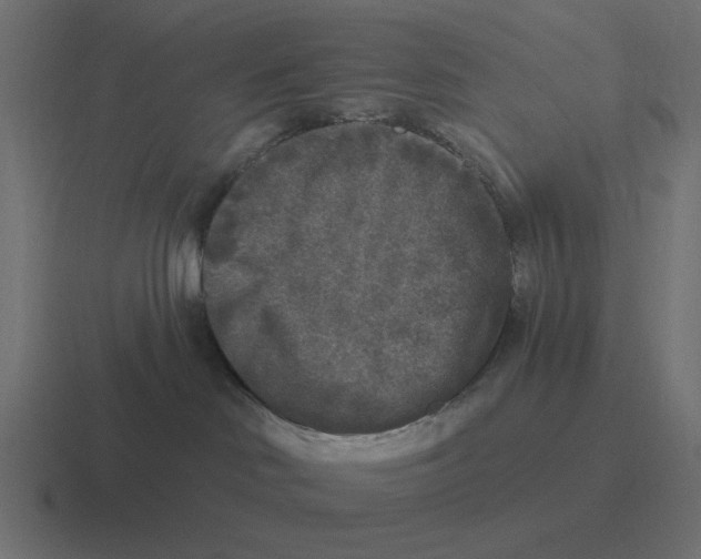 X0000116430046200912291917