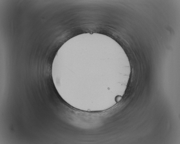 X0000116430048200912291917