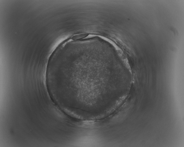 X0000116430052200912291916