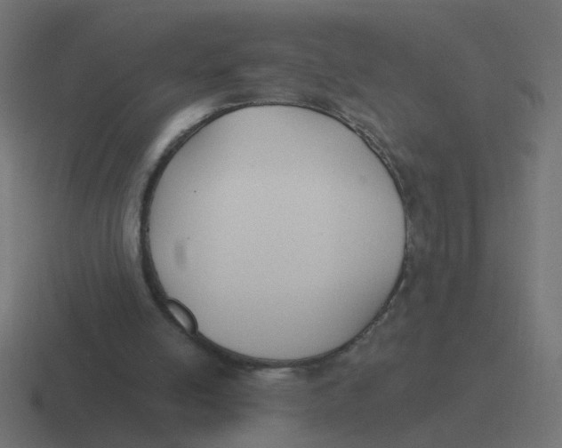 X0000116430054200912291916