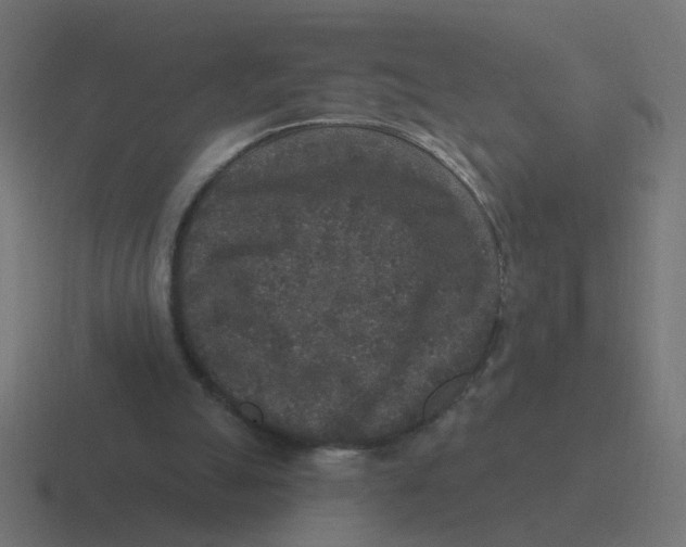 X0000116430055200912291916