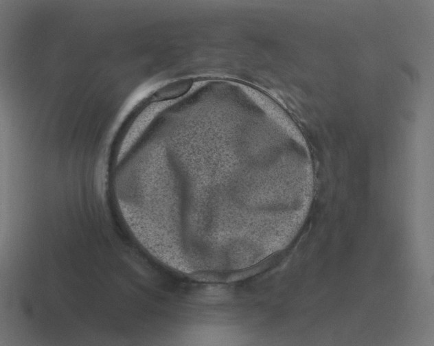 X0000116430056200912291916