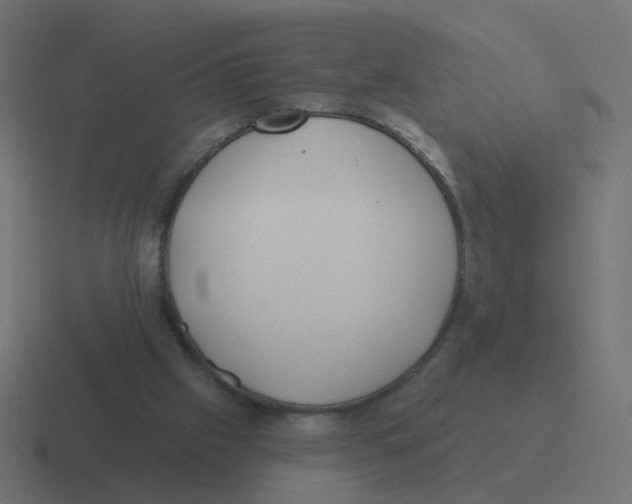 X0000116430057200912291916