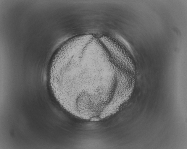 X0000116430059200912291916