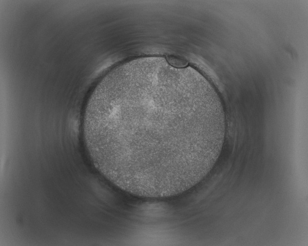 X0000116430063200912291916