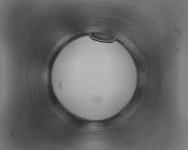 X0000116430064200912291916